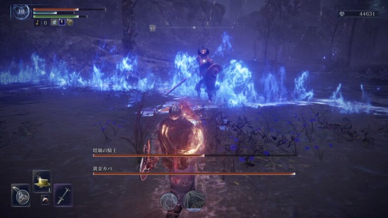 レベル10で、坩堝の騎士と黄金カバの体力ゲージが出て、青い炎の向こうに坩堝の騎士が立っている
