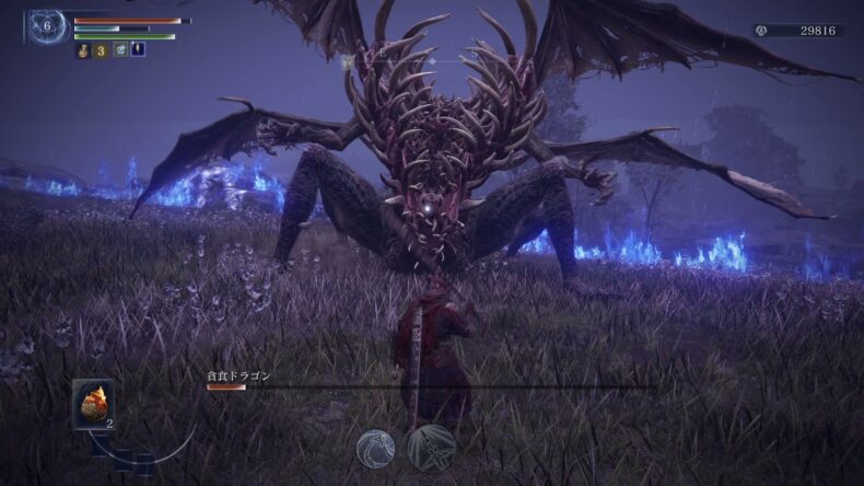 翼を広げた貪食ドラゴンと、レベル6のプレイヤーが草原で向かい合っている