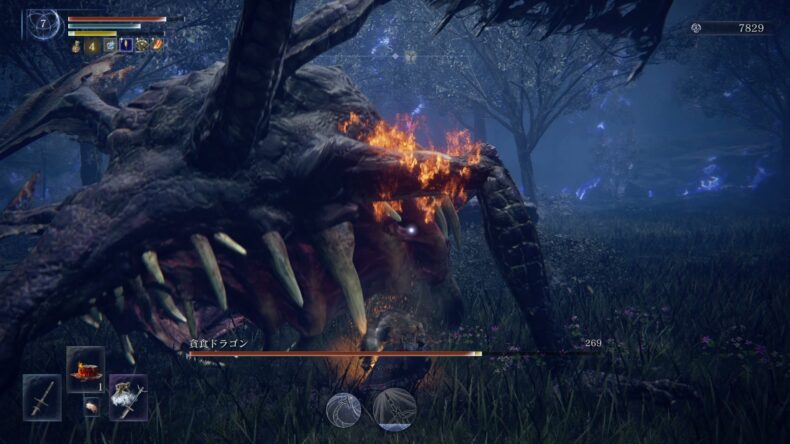 ボス名「貧食ドラゴン」が表示された戦闘。大口を開けたドラゴンの近くで攻撃している