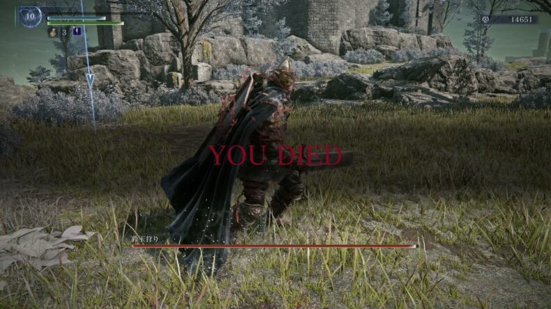YOU DIED。鈴玉狩りの名前と赤いバー。レベルは10