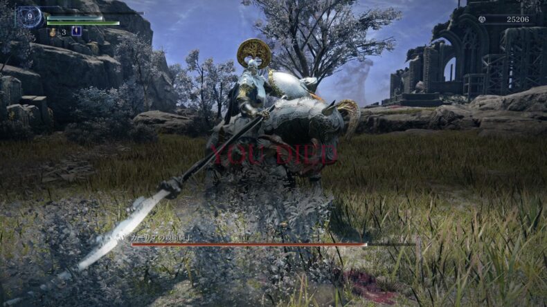 レベル9で YOU DIED が出て、カーリアの親衛騎士の名前と槍を持った銀の騎馬騎士が写っている