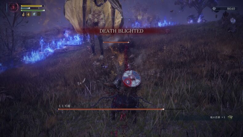 DEATH BLIGHTEDと表示され、ミミズ顔の体力バーが残っている。右下に死の苔薬が1つある。レベルは赤い3、ルーンは8640