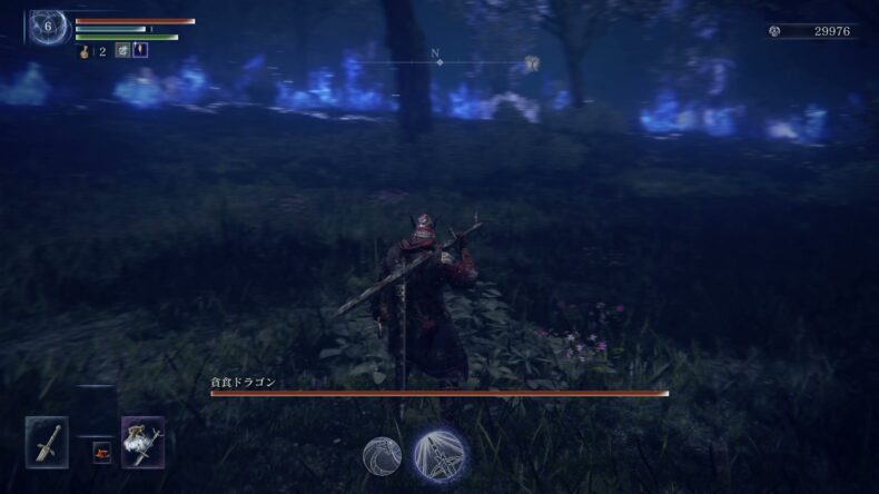 レベル6、ルーン29976。貪食ドラゴンの名前と体力バー。