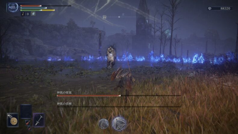 神肌の使徒と神肌の貴種。レベル11、聖杯瓶は0、ルーンは88320